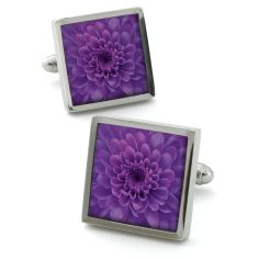 Boutons de manchette, Chrysanthemum Violet Robert Charles 2