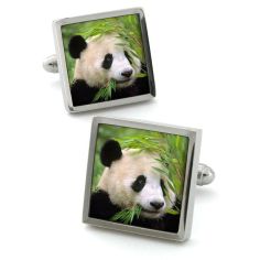 Boutons de manchette, panda Robert Charles 2