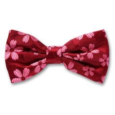 Noeud Papillon Robert Charles Valentina Rose Robert Charles