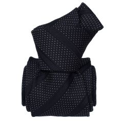 Cravate Soie Segni Disegni, Olden marine Segni et Disegni 2