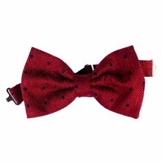 Noeud Papillon Noué Segni & Disegni, Reggio Segni et Disegni 2