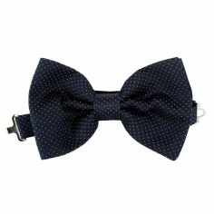 Noeud Papillon Noué Segni & Disegni, Prato Segni et Disegni 2