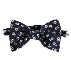 Noeud Papillon Noué Segni & Disegni, Olbia Segni et Disegni 2