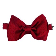 Noeud Papillon Noué Segni & Disegni, Matera Segni et Disegni