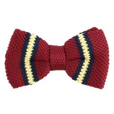 Noeud papillon tricot bon genre bordeaux Clj Charles Le Jeune