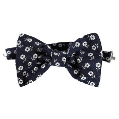 Noeud Papillon Noué Segni & Disegni, Olbia Segni et Disegni