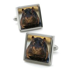 Boutons de manchette, hippo Robert Charles