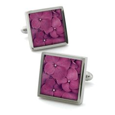 Boutons de manchette, Hydrangea fushia Robert Charles