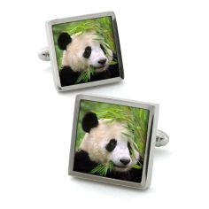 Boutons de manchette, panda Robert Charles