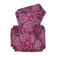 Cravate Classique Segni Disegni, Denver Violet Segni et Disegni