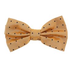 Noeud Papillon Segni Disegni, Orange satiné et pois marine Segni et Disegni