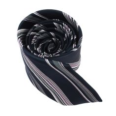 Cravate club marine et mauve Clj Charles Le Jeune 2