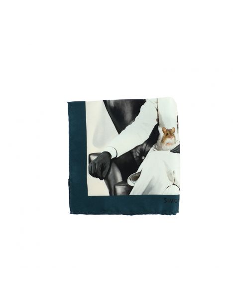 Pochette Simon Carter, Evil Cat Simon Carter