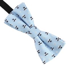 Noeud Papillon Scalaire, bleu ciel Clj Charles Le Jeune 2