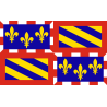 Pin's Drapeau région de France - Bourgogne Clj Charles Le Jeune