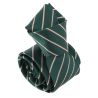 Cravate rayée verte, Académique Clj Charles Le Jeune