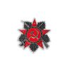 Pin's CCCP - URSS - Soviet nostalgie - faucille et Marteau - Communiste Clj Charles Le Jeune