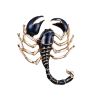 Broche Scorpion de Jordanie bleuté - émaillée Clj Charles Le Jeune