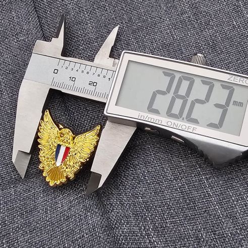 Pin's Aigle Français