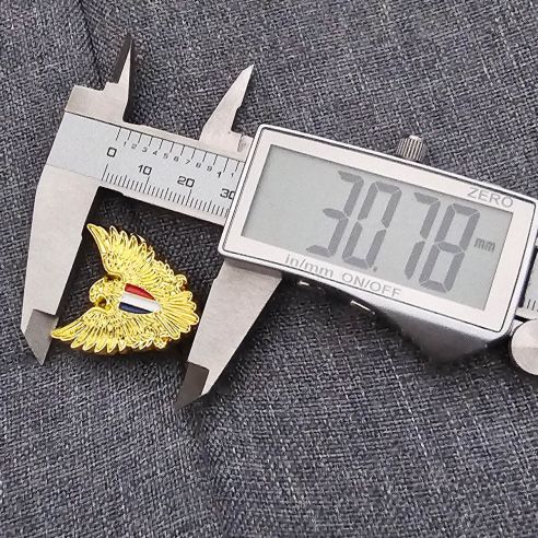 Pin's Aigle Français