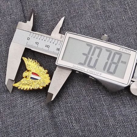 Pin's Aigle Français