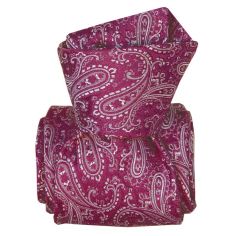 Cravate Classique Segni Disegni, Denver Violet Segni et Disegni 2