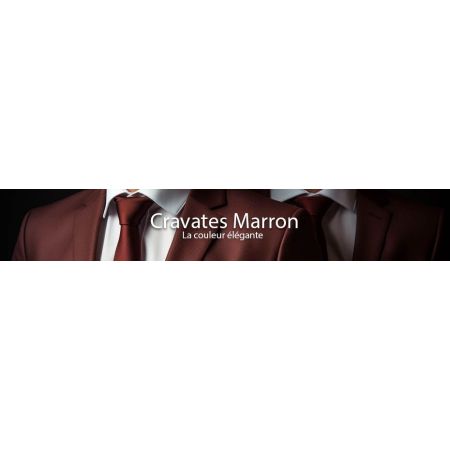 Cravates Marron
