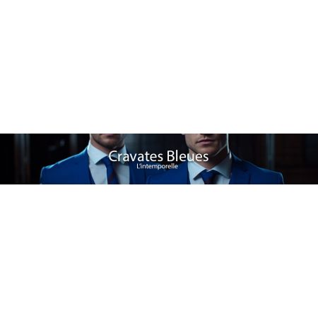 Cravates bleues